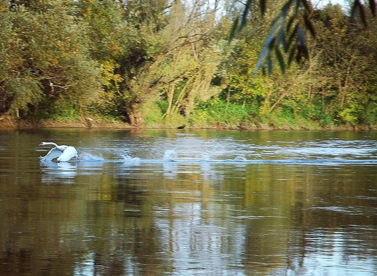 Zagreb, Kuca Za Odmor Swan River Holiday House Lasinja Exterior foto