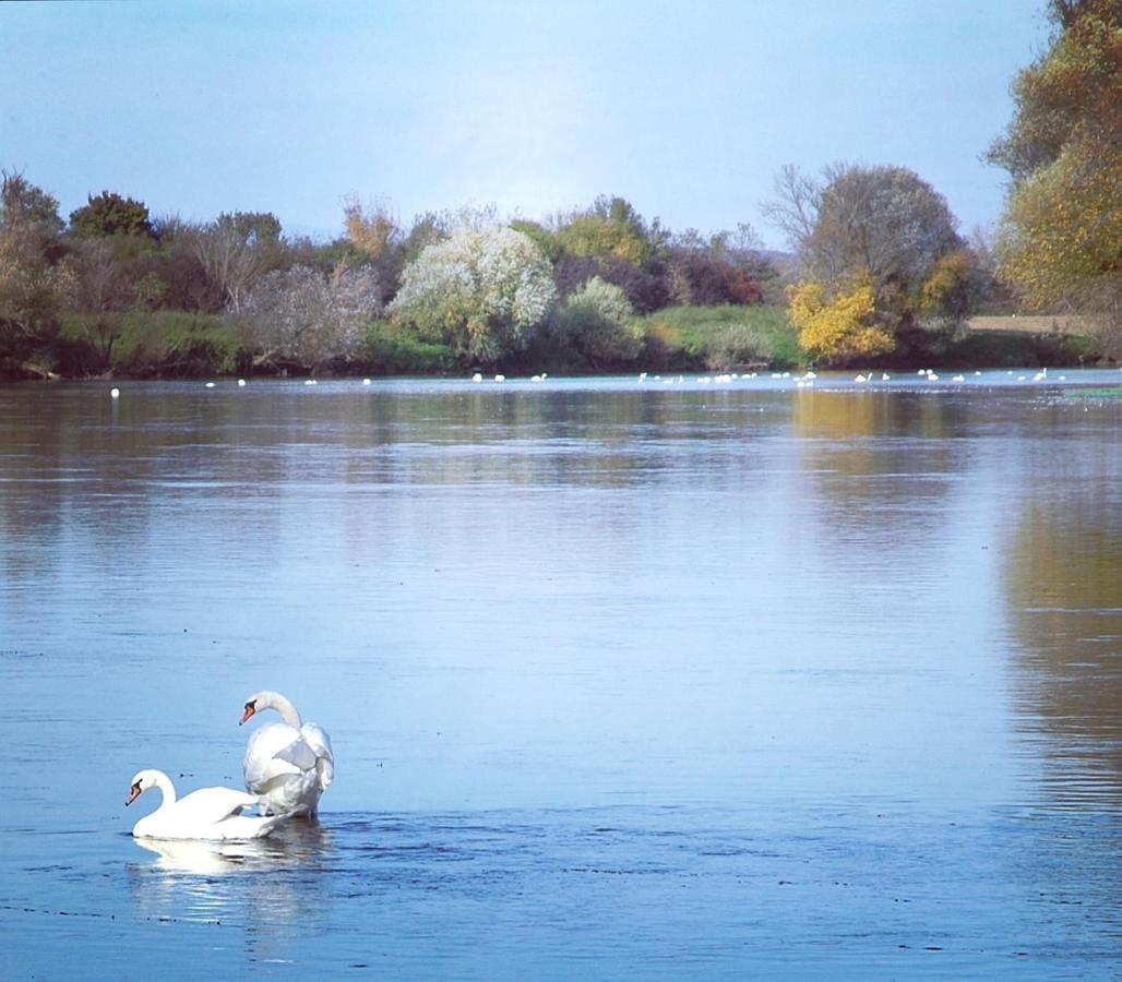 Zagreb, Kuca Za Odmor Swan River Holiday House Lasinja Exterior foto